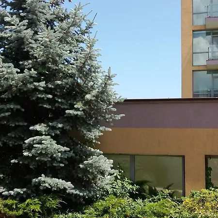 아파트 207 Belvedere