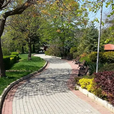 207 Belvedere 네세부르