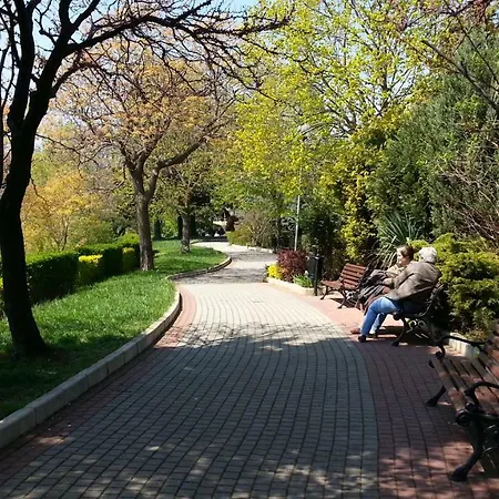 207 Belvedere نيسيبار