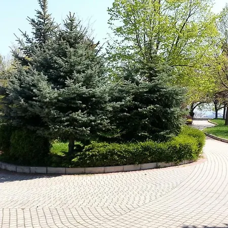207 Belvedere شقة *